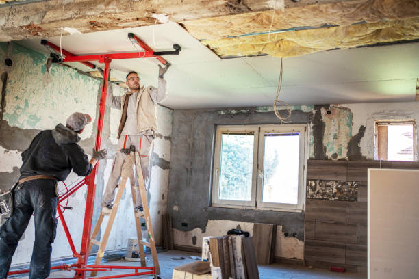 Best Attic Insulation Installation  in Dillon, MT