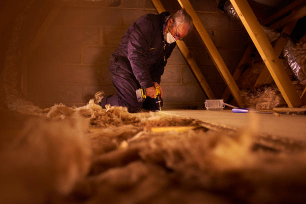 Best Commercial Insulation Services  in Dillon, MT